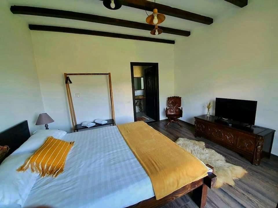 Casa Mesterului Sohodol  외부 사진